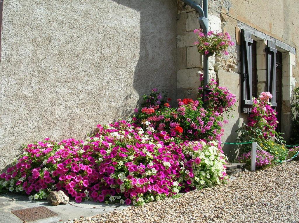 Logis Le Moulin Fleuri Hotel Veigné Екстериор снимка